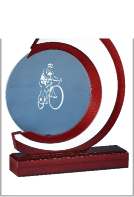 Trophée Verre & Bois Personnalisé 164-61-CLI