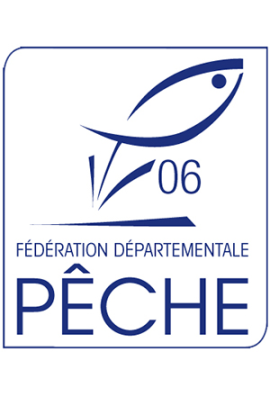 logo_4_365388