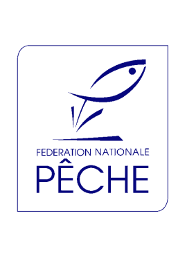 logo_4_365401