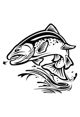 logo_4_365486