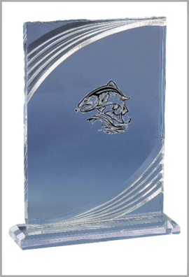 Trophée Acryglass Personnalisé 180-31-LO