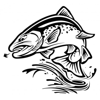 logo_4_365488