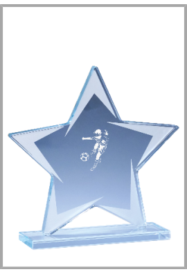 Trophée Verre Personnalisé 173-01-CLI
