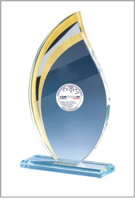 Trophée Verre Personnalisé 170-03-LO