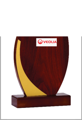 Trophée Bois Personnalisé 151-13-LO