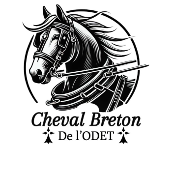 logo_4_366674