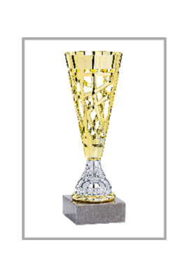 picture_320025_367819