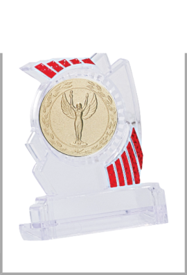 Trophée Personnalisé Médaillon 133-53-C