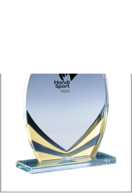 Trophée Verre Personnalisé 172-23-LO
