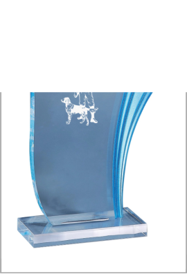Trophée Acryglass Personnalisé 179-31-CLI