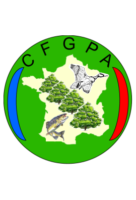logo_4_368846