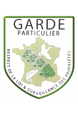 logo_4_369344