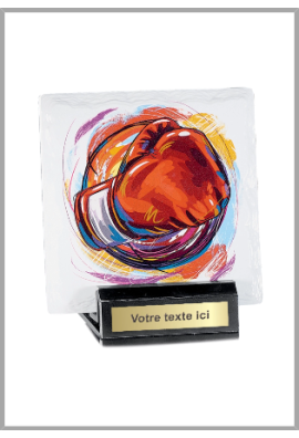 Trophée Boxe45107