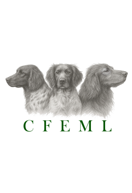 logo_4_370691