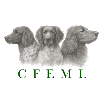 logo_4_370691