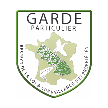 logo_4_372334