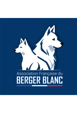 logo_4_372419