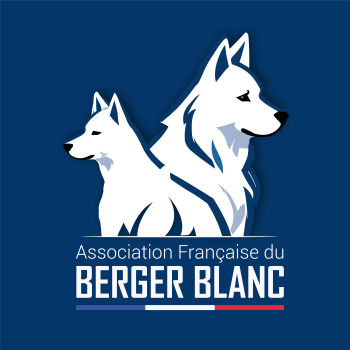 logo_4_372420