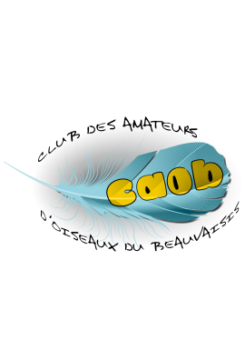 logo_4_374097