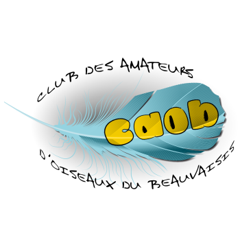 logo_4_374097