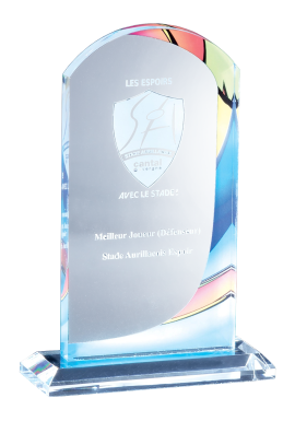 Trophée Acryglass Personnalisé 173-41-CLI