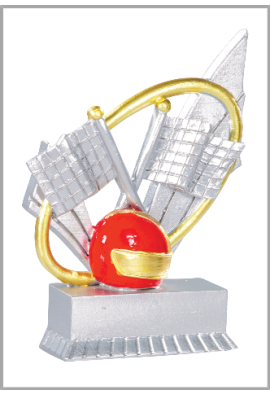 Trophée Karting 31406