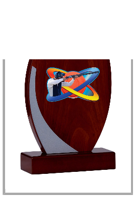 Trophée Bois Personnalisé 125-42-BJ
