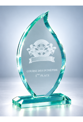 Trophée Verre Personnalisé 166-61-LO