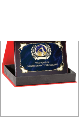 Plaque de distinction : 187-45-C