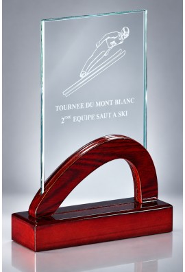 Trophée Verre & Bois Personnalisé 165-11DE-LO