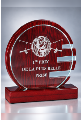 Trophée Verre & Bois Personnalisé 163-11-CLI