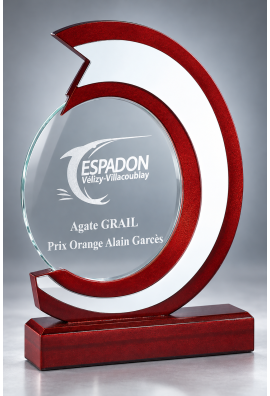 Trophée Verre & Bois Personnalisé 164-61-CLI