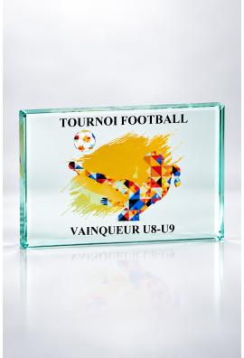 Trophée Verre Personnalisé 153-21-LO