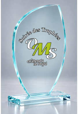 Trophée Verre Personnalisé 154-21-SU