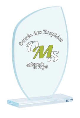 Trophée Verre Personnalisé 154-21-SU