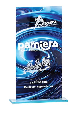 Trophée Verre Personnalisé 160-31-CLI