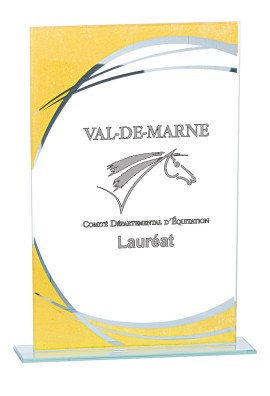 Trophée Verre Personnalisé 162-11-CLI