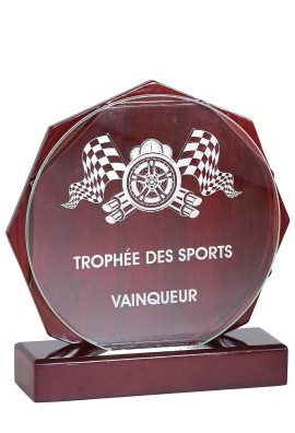 Trophée Verre & Bois Personnalisé 163-71-CLI