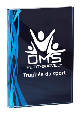 Trophée Verre Personnalisé 165-21-CLI
