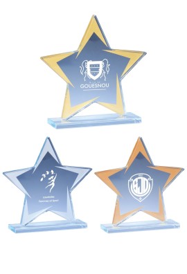 Trophée Verre Personnalisé 173-01-CLI