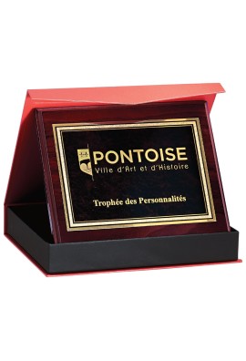 Plaque de distinction : 187-31-CLI