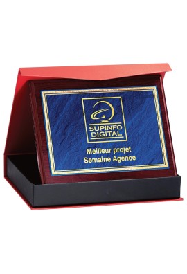 Plaque de distinction : 187-91-CLI