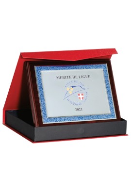 Plaque de distinction 189-65-SU