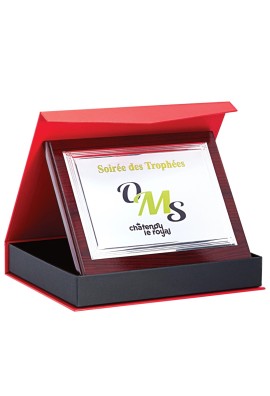 Plaque de distinction 189-81-SU