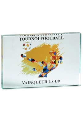 Trophée Verre Personnalisé 153-21-LO