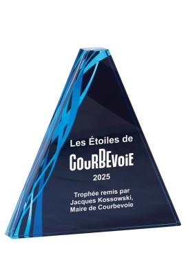 Trophée Verre Personnalisé 165-41-LO