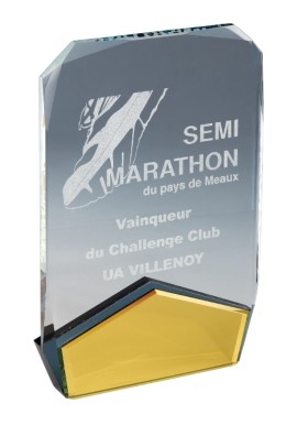 Trophée Acryglass Personnalisé 173-01DE-LO