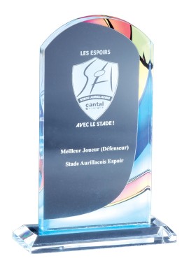 Trophée Acryglass Personnalisé 173-41DE-LO