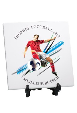 Trophée Personnalisé 188-16-LO