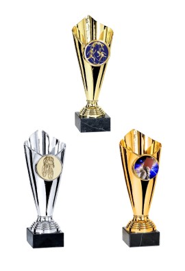 Coupe ABS Personnalisée : 0741-C